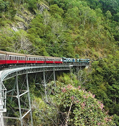 _穿越库兰达热带雨林 体验澳洲自然美_乐途旅游网